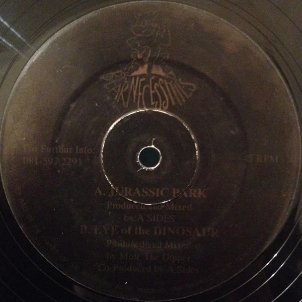 Image of the ordered vinyl