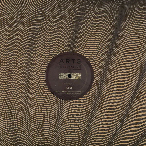 Image of the ordered vinyl