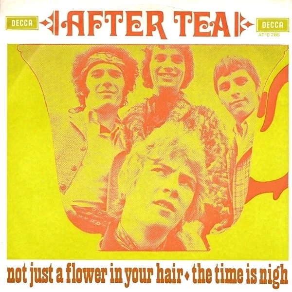 Item Not Just A Flower In Your Hair / The Time Is Nigh / The Time Is Nigh product image