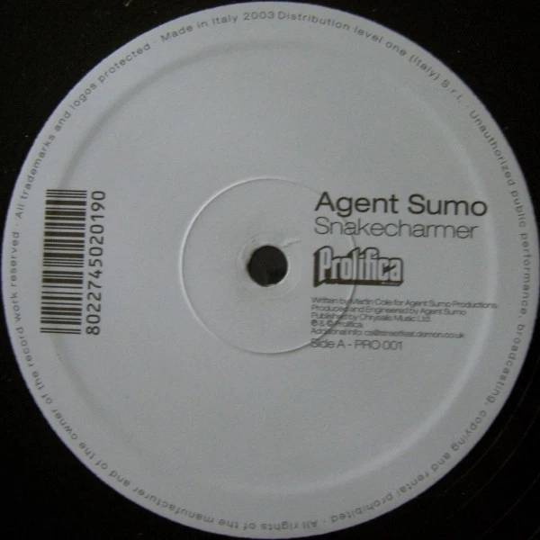 Image of the ordered vinyl