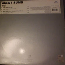 Image of the ordered vinyl