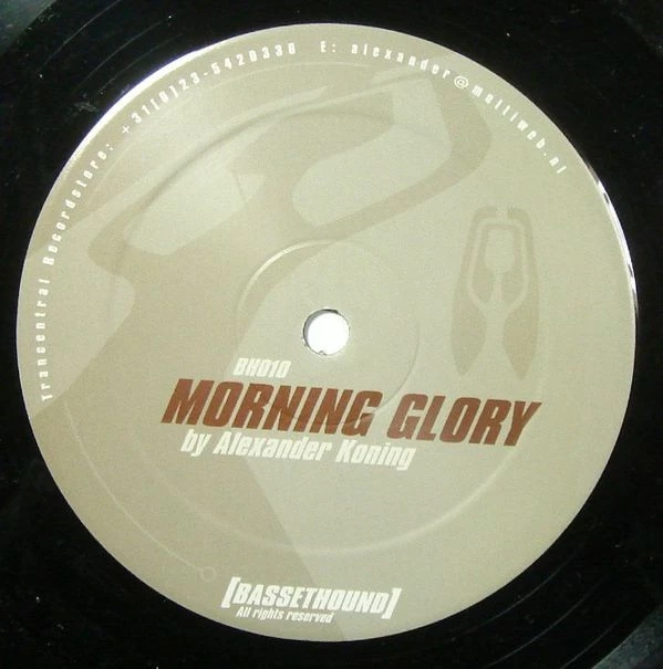 Image of the ordered vinyl