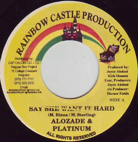 Say She Want It Hard / Static Riddim (Version)