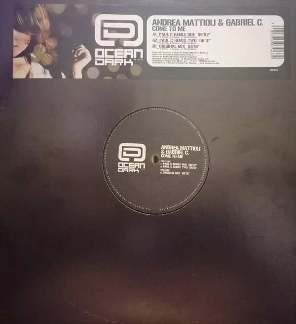 Image of the ordered vinyl