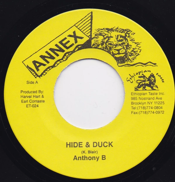 Item Hide and Duck  / Version Okay product image