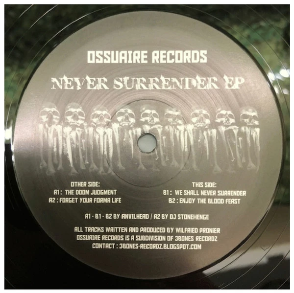 Item Never Surrender EP product image