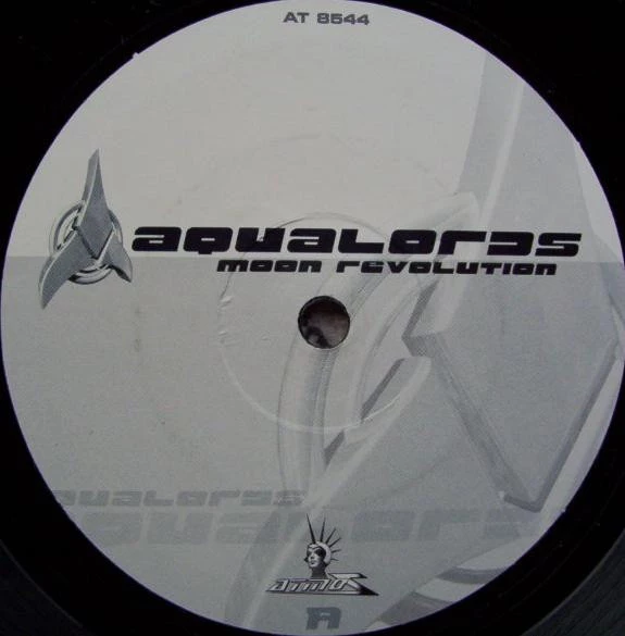 Image of the ordered vinyl