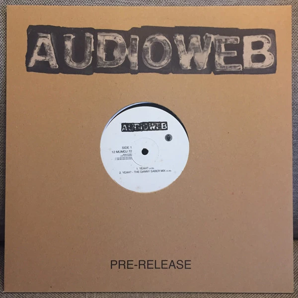 Image of the ordered vinyl