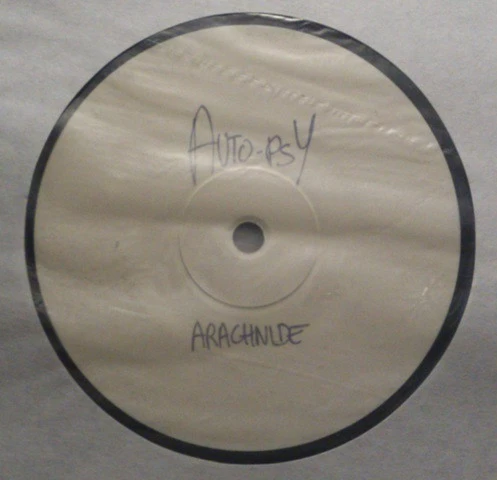 Image of the ordered vinyl