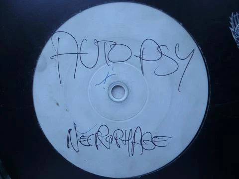 Image of the ordered vinyl