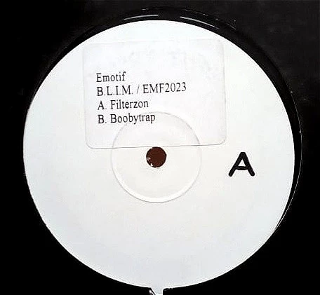 Image of the ordered vinyl