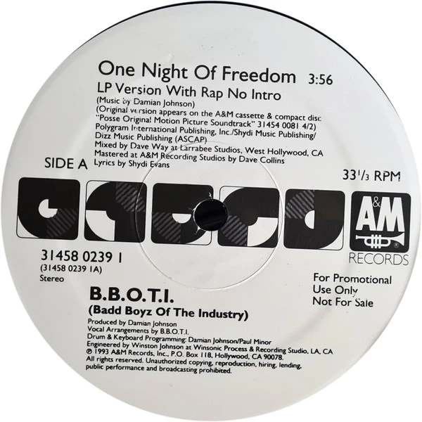 One Night Of Freedom