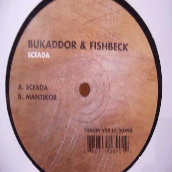 Image of the ordered vinyl