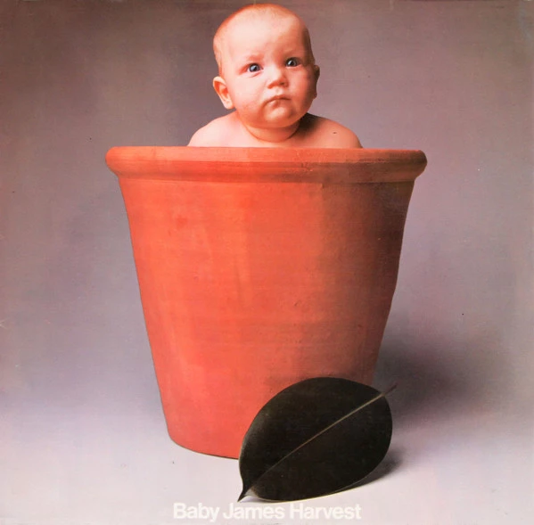 Item Baby James Harvest product image