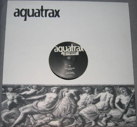 Image of the ordered vinyl