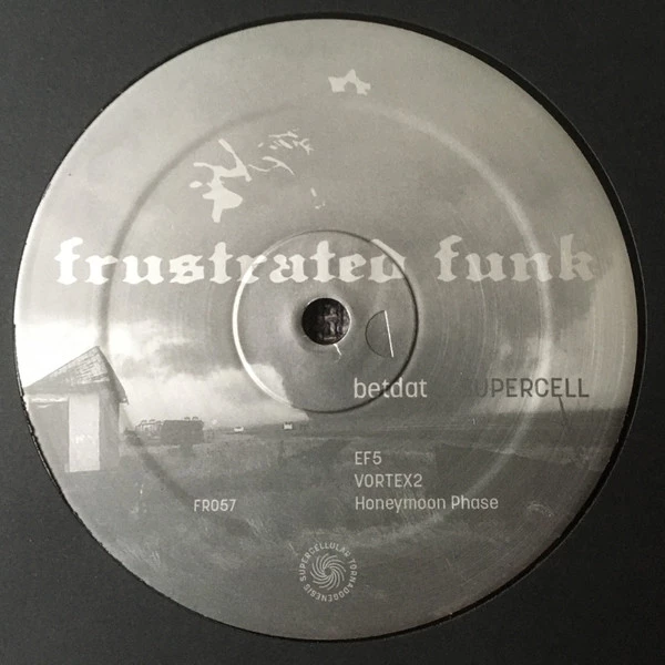 Image of the ordered vinyl