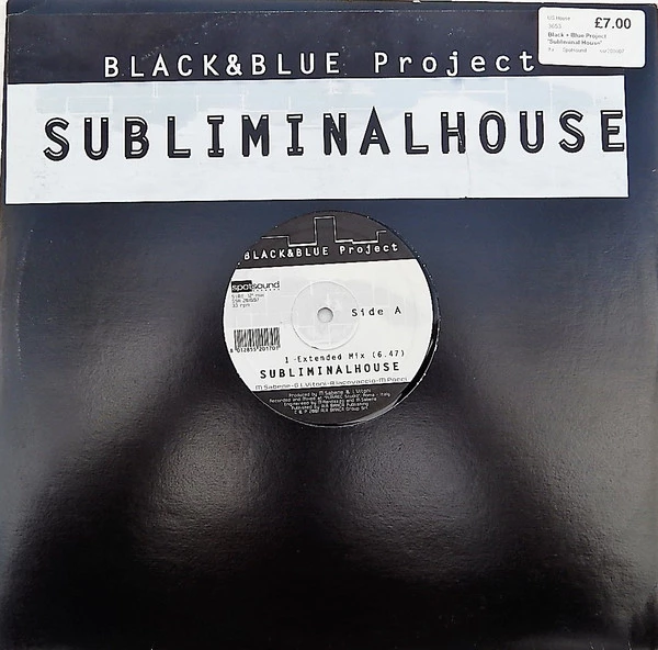 Item Subliminal House product image