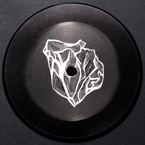 Image of the ordered vinyl