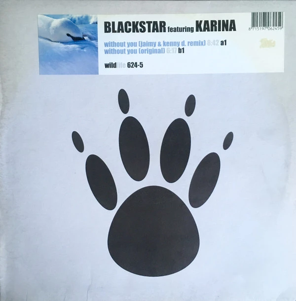 Image of the ordered vinyl