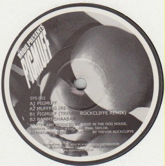 Image of the ordered vinyl