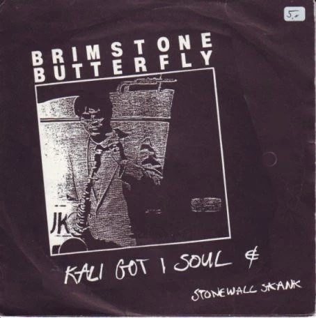 Item Kali Got I Soul / Stonewall Skank product image