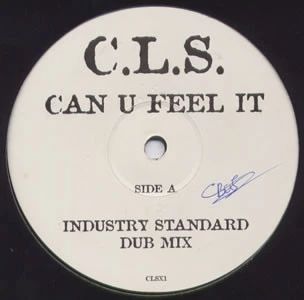 Can U Feel It (Industry Standard Mixes)