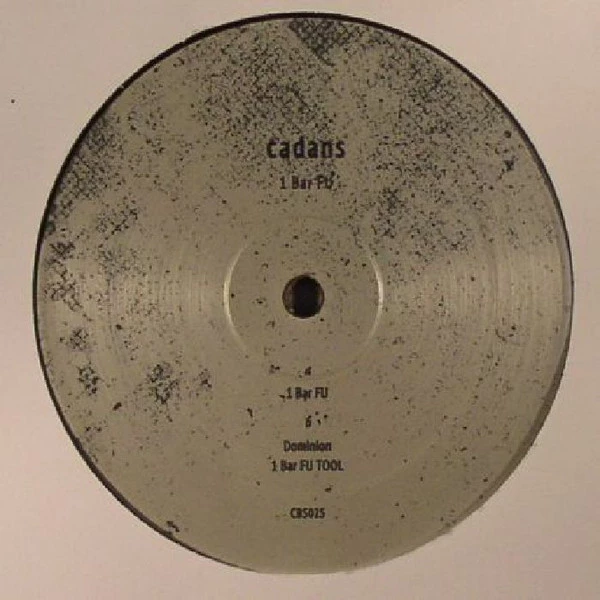 Image of the ordered vinyl