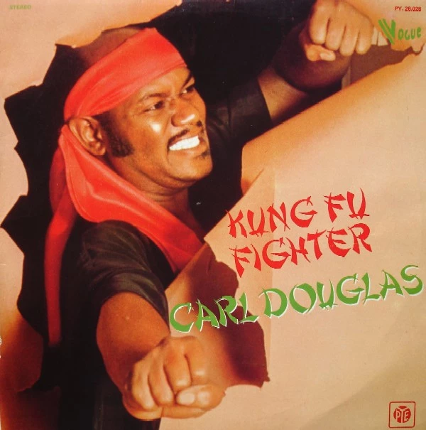 Kung Fu Fighter