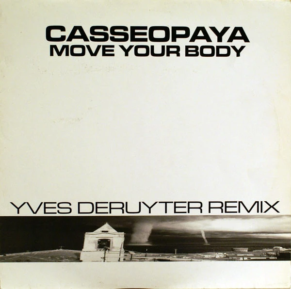 Item Move Your Body (Yves Deruyter Remix) product image