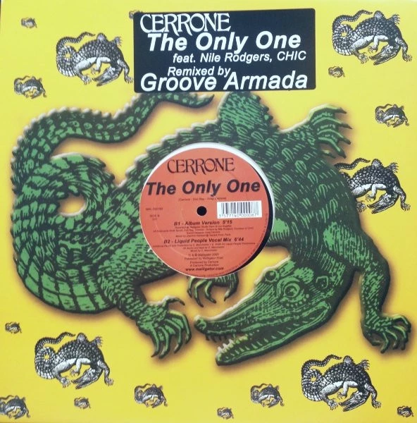 The Only One (Remixed By Groove Armada)