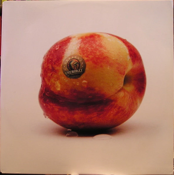 Image of the ordered vinyl