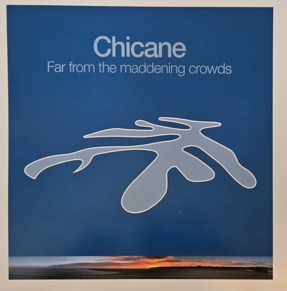 Image of the ordered vinyl