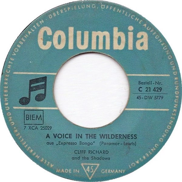 A Voice In The Wilderness / Don't Be Mad At Me