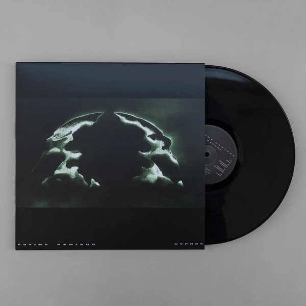 Image of the ordered vinyl