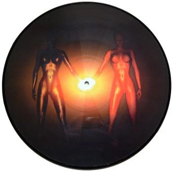 Image of the ordered vinyl