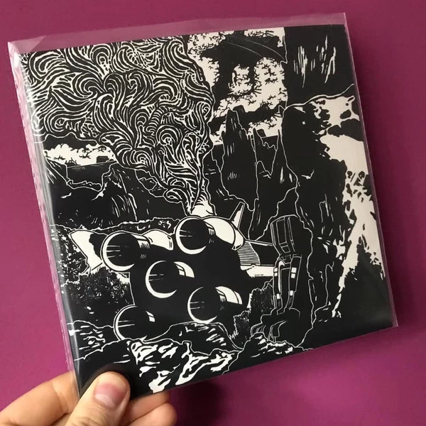 Image of the ordered vinyl