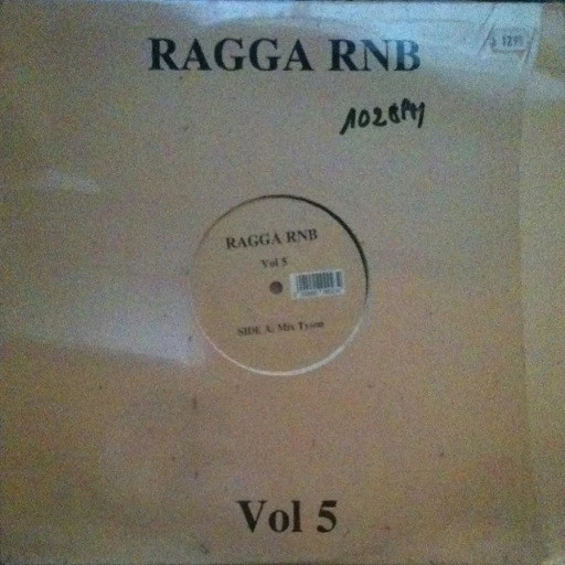 Item Ragga Rnb Vol 5 product image