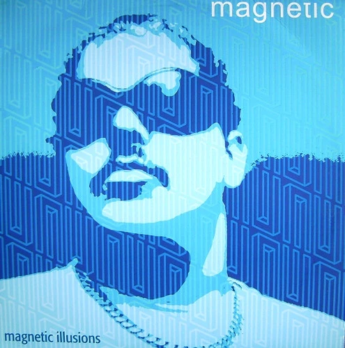 Magnetic Illusions