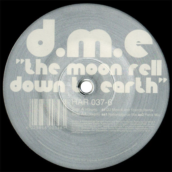 Item The Moon Fell Down To Earth product image