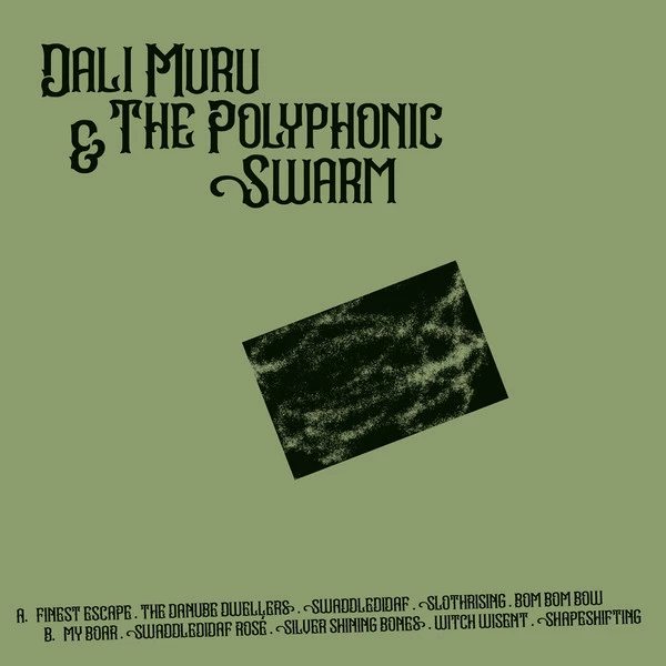 Item Dali Muru & The Polyphonic Swarm product image