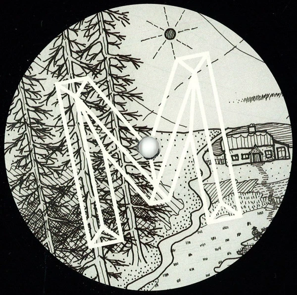 Image of the ordered vinyl