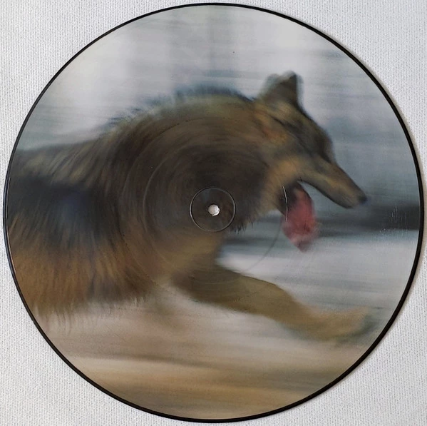 Image of the ordered vinyl