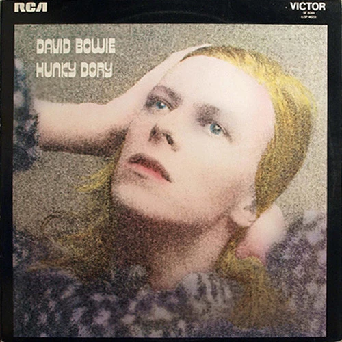 Hunky Dory