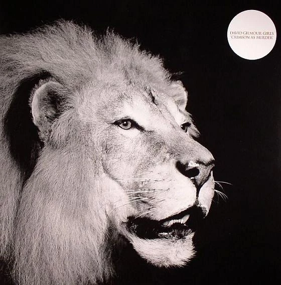 Image of the ordered vinyl