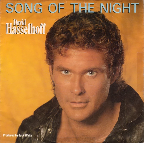 Item Song Of The Night / Song Of The Night (Instrumental Version) product image