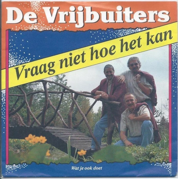 Item Vraag Niet Hoe Het Kan / Wat Je Ook Doet product image