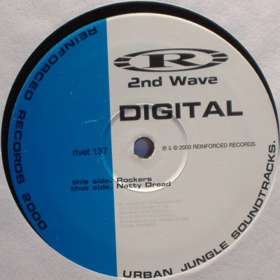 Image of the ordered vinyl