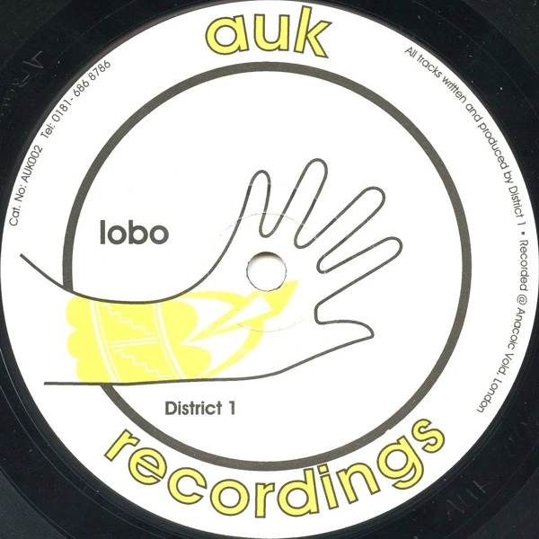 Image of the ordered vinyl