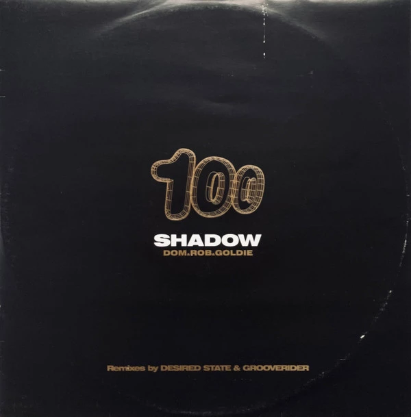 Item Shadow 100 (Remixes By Desired State & Grooverider) product image