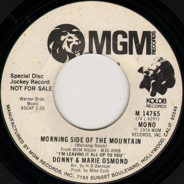 Morning Side Of The Mountain / One Of These Days